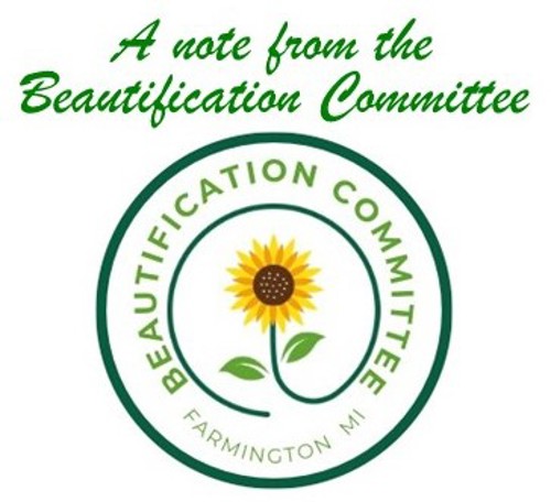 Logo With Header