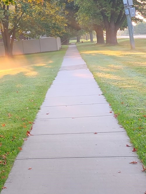 2024 City Sidewalk Program to begin the week of Oct. 7